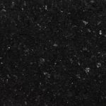 Labrador Black